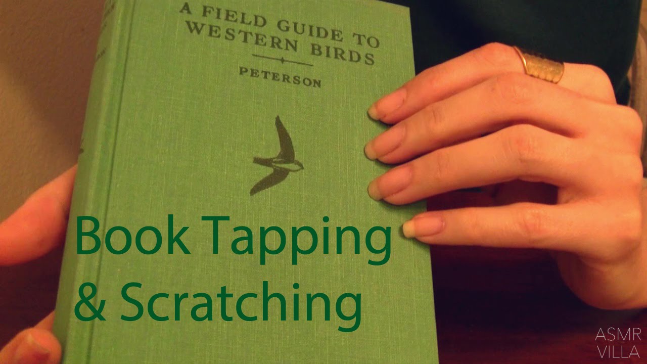 ASMR * Tapping & Scratching * Theme: Put a Bird on It * Fast Tapping * No Talking * ASMRVilla