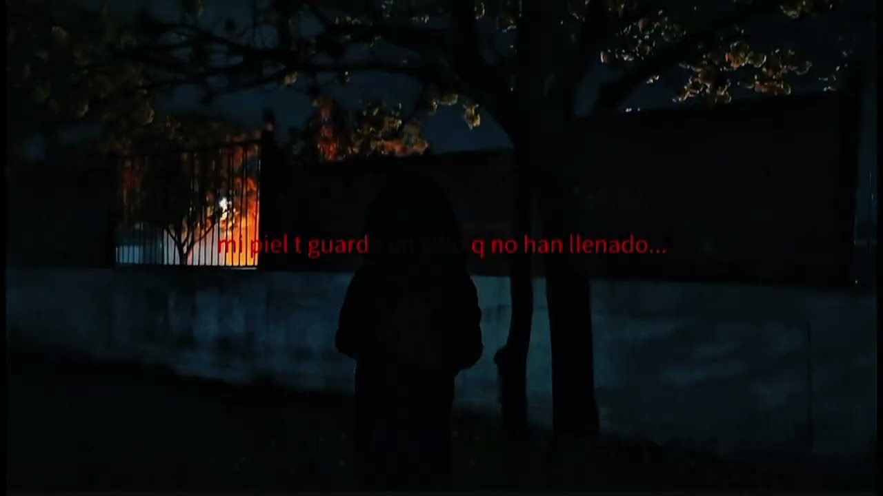 poiisonn - DMECQEN (Official Visualizer) | feliz día del amor imposible ii 