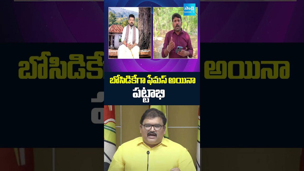 బోసిడికేగా ఫేమస్ అయిన పట్టాభి: YSRCP Karumuri Venkat Reddy Slams TDP Pattabhi Ram | Ding Dong 2.0