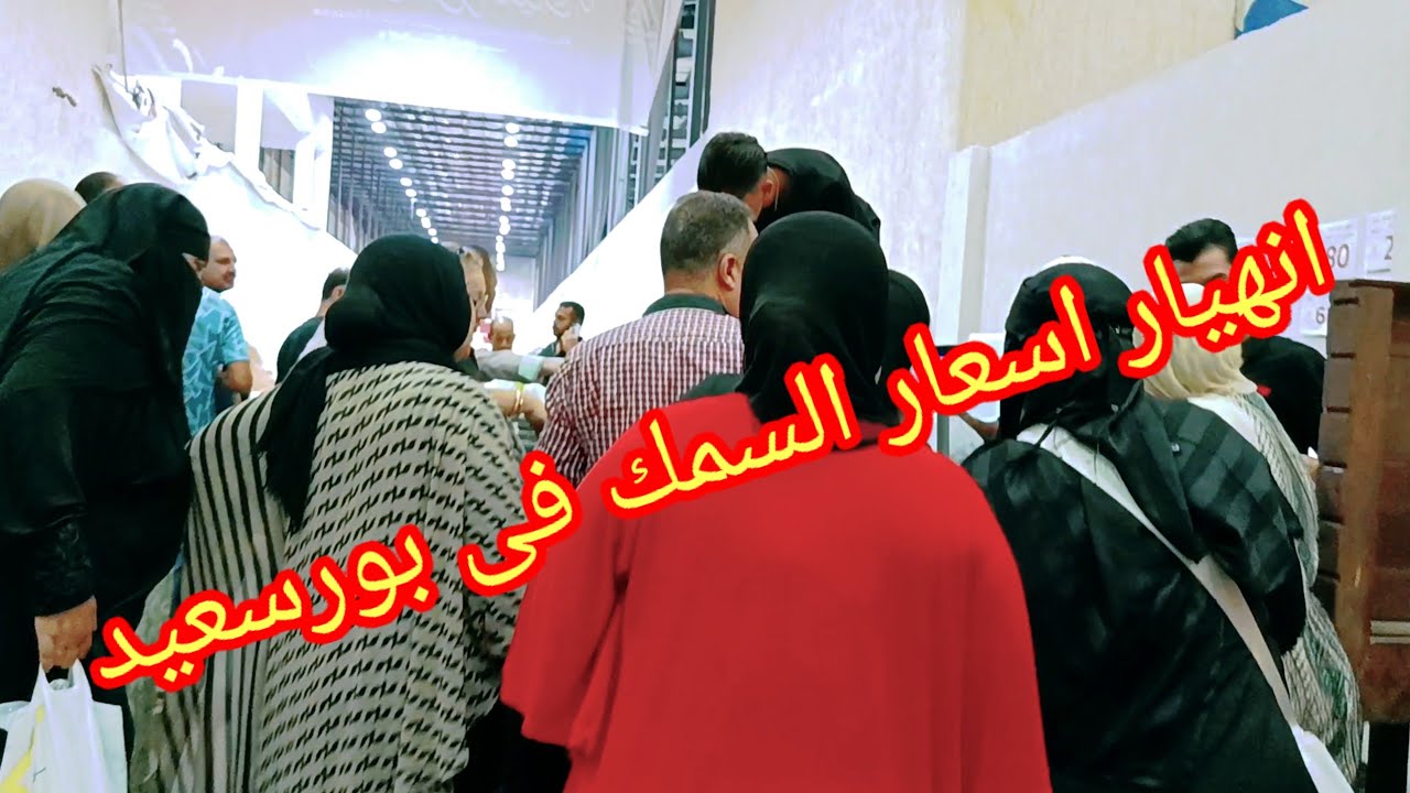 الحقوا🏃🏃البورسعيدى اللى قلب موازين اسعار السمك🤭فى سوق سمك بورسعيد port said egypt