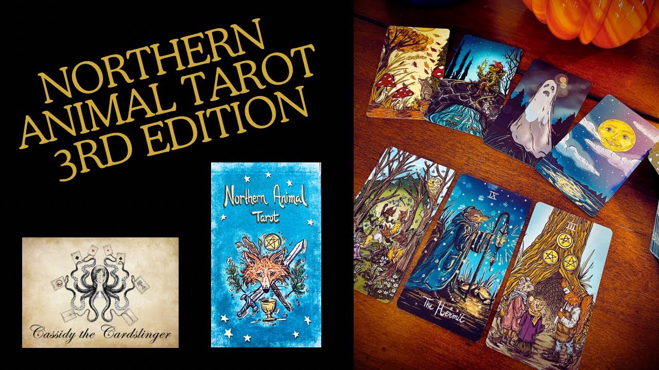 Northern Animal Tarot 3rd Edition Flip Through & Review with Cassidy the Cardslinger