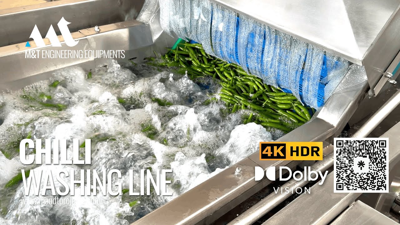 Chili Washing Drying Machine Line | Industrial Vegetable Washer | Chilli Washer Continues Model