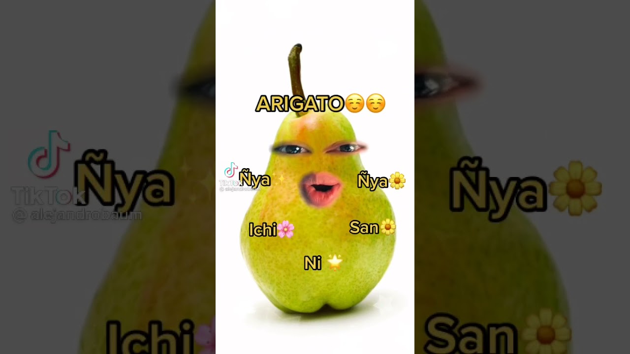 NYA ICHI NI SAN NYA ARIGATO