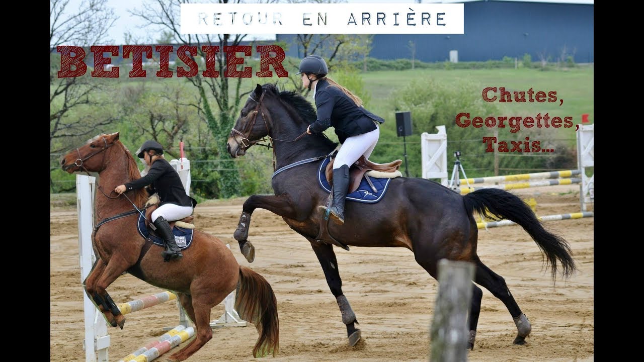 [Bêtisier] Toutes mes chutes et conneries à cheval..
