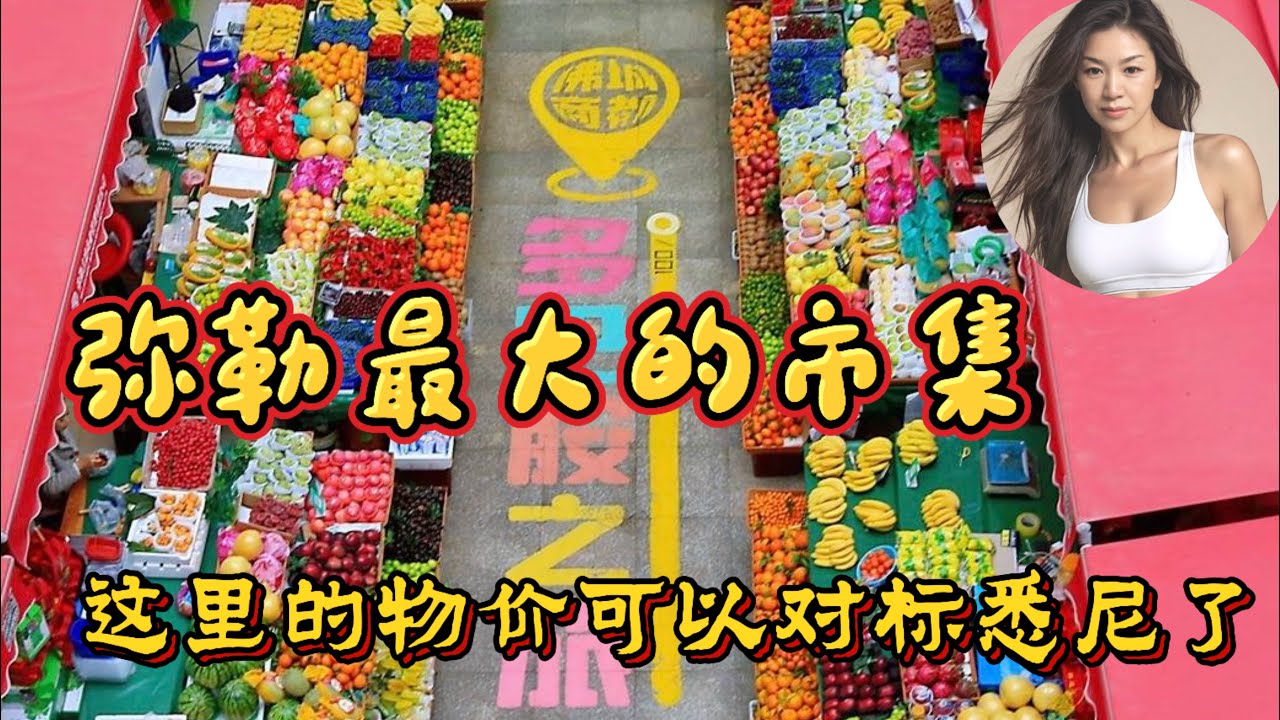 是谁说弥勒的物价便宜的？这大市场的价格可以对标悉尼了！