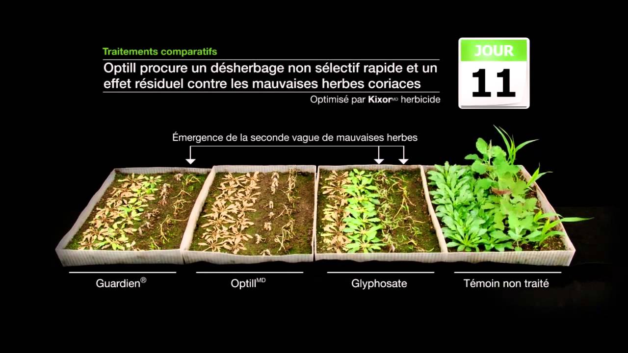 Vidéo en accéléré de l'herbicide Optill | BASF