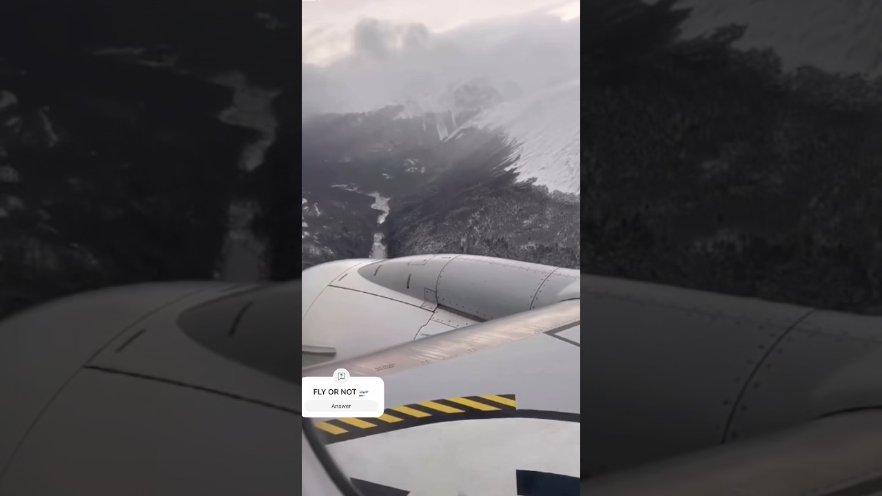HEAVY TURBULENCE SCARY PASSENGERS SCREAMING #shortsfeed #shorts #youtubeshorts #turbulence #aviation