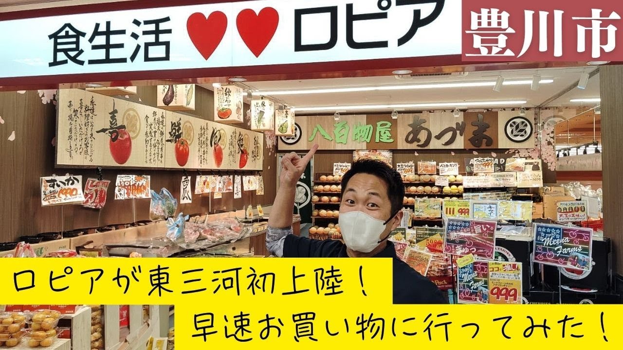 ロピア豊川プリオ店が東三河初上陸！早速お買い物に行ってみた！