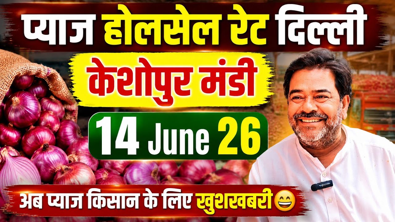 प्याज के होलसेल भाव 14 June 2026 दिल्ली 🧅 Keshopur Mandi delhi onion market price #onionmarket 
