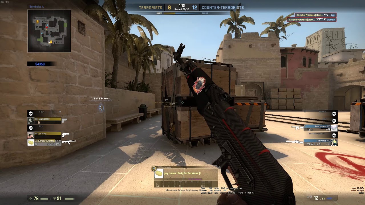 master guardian is truly the greatest skill level of cs