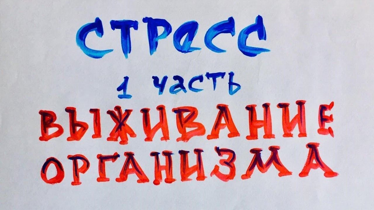Польза стресса: действие адреналина. Биохимия