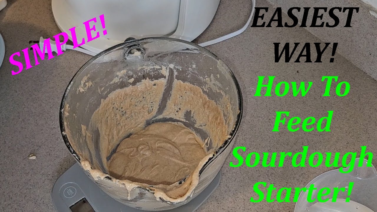 How to Feed Your Sourdough Starter! Easiest Way!