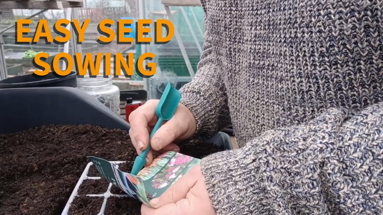 Easy Seed Sowing for Cabbage & Spring Onions (Beginner Friendly)