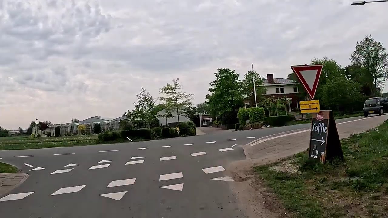 VOGELENZANG 🇳🇱 Du rose &agrave; perte de vue dans les champs de tulipes ...