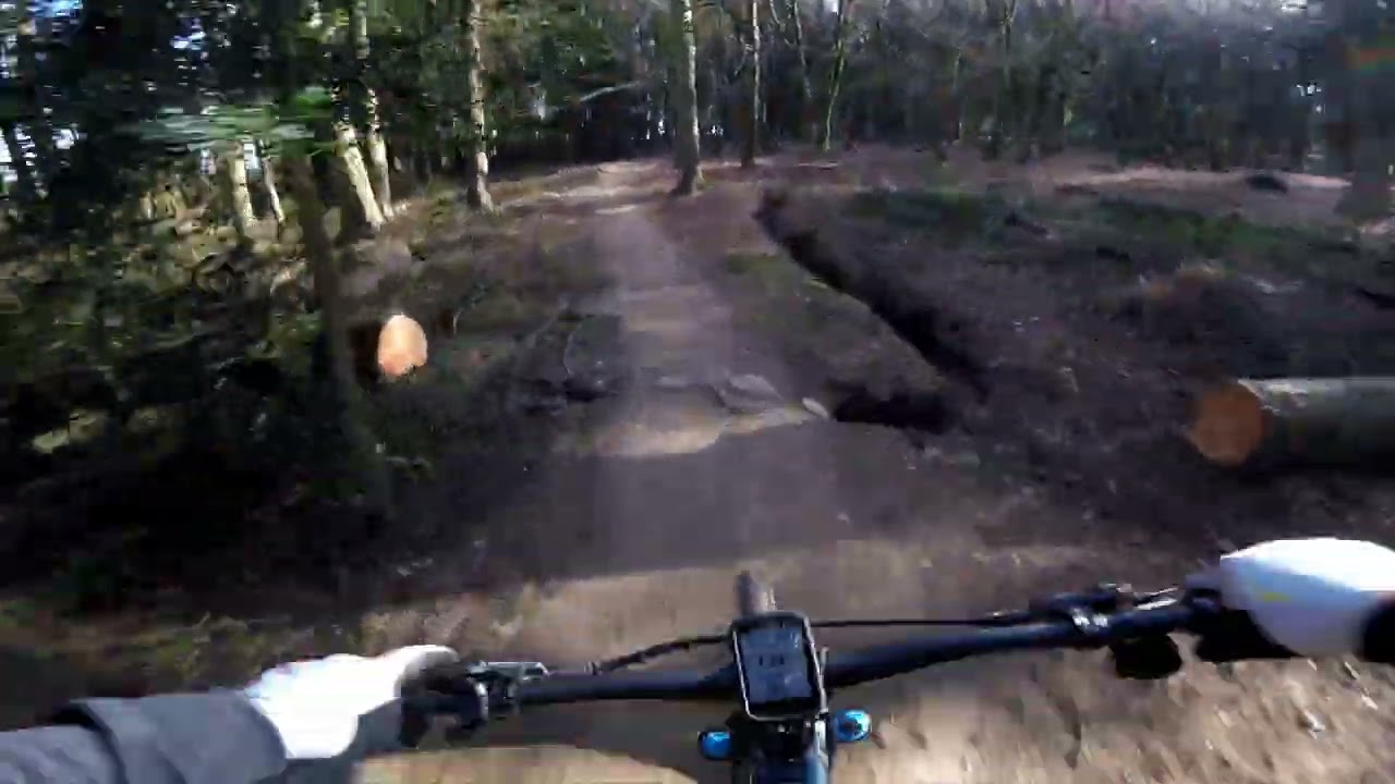 Pivot bearing check on Blue Steel