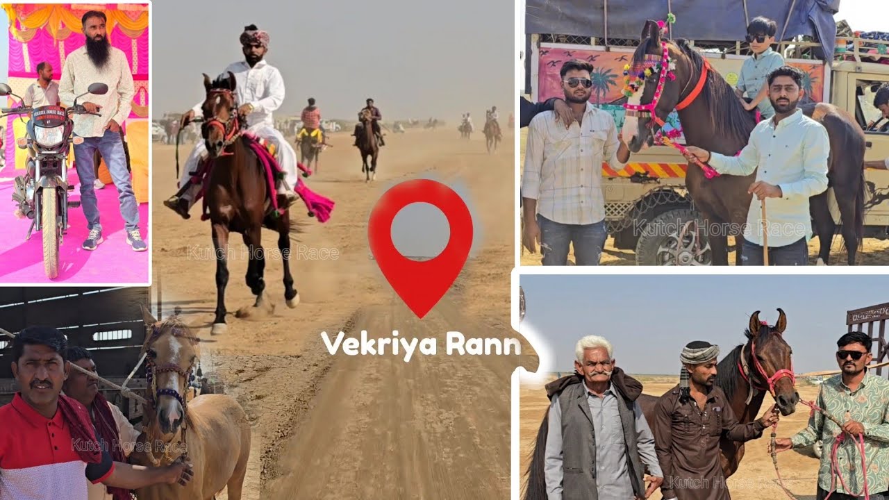 Mara Vekriya Horse Race 2024