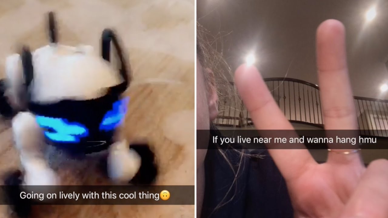 Mackenzie Ziegler | Snapchat Videos | November 22nd 2016