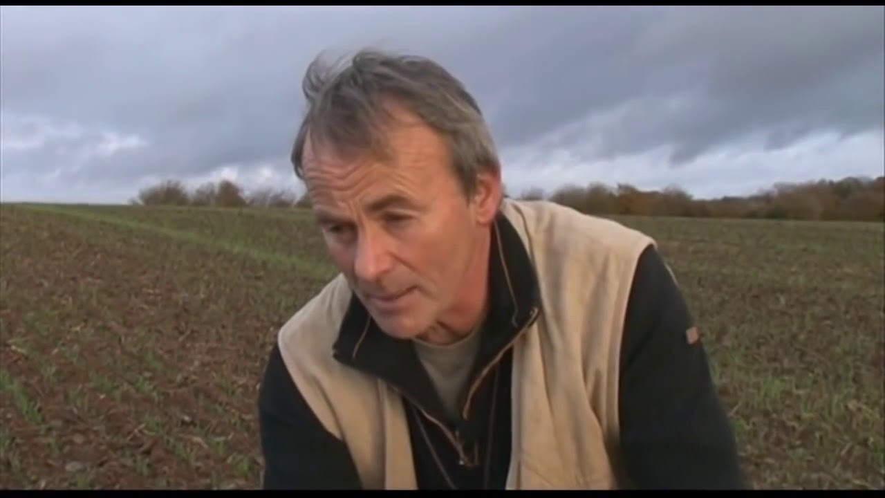 Бретонский эпаньоль  От дрессировки к охоте