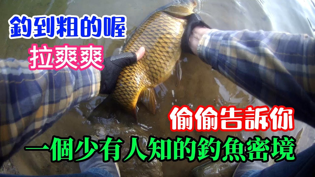 釣到粗的喔，偷偷告訴你，一個少有人知的釣魚密境