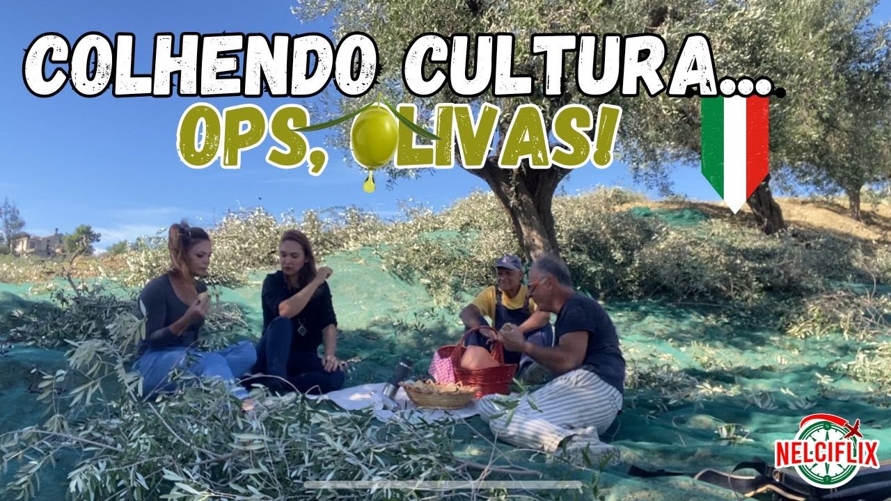 📍 Colheita de Olivas na Itália | Tradição, Trabalho e o Verdadeiro Valor do Azeite Extravirgem