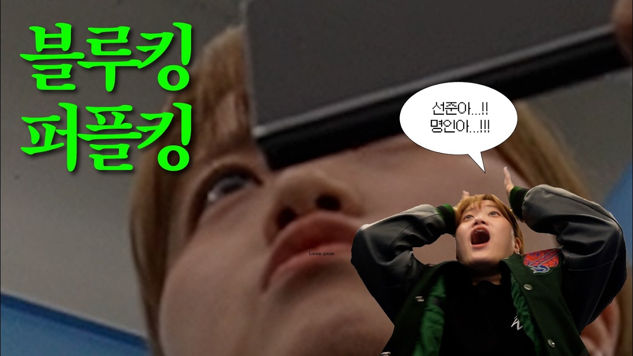 국내 주짓수 블루벨트, 퍼플벨트 최강자는 누구? | OPMT 블루킹&퍼플킹