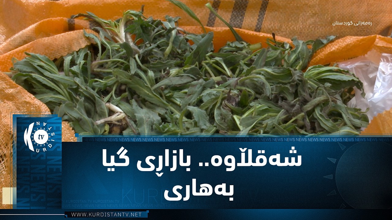 شەقڵاوە.. خواستی هاووڵاتییان لەسەر بەرهەمی سپیایی
