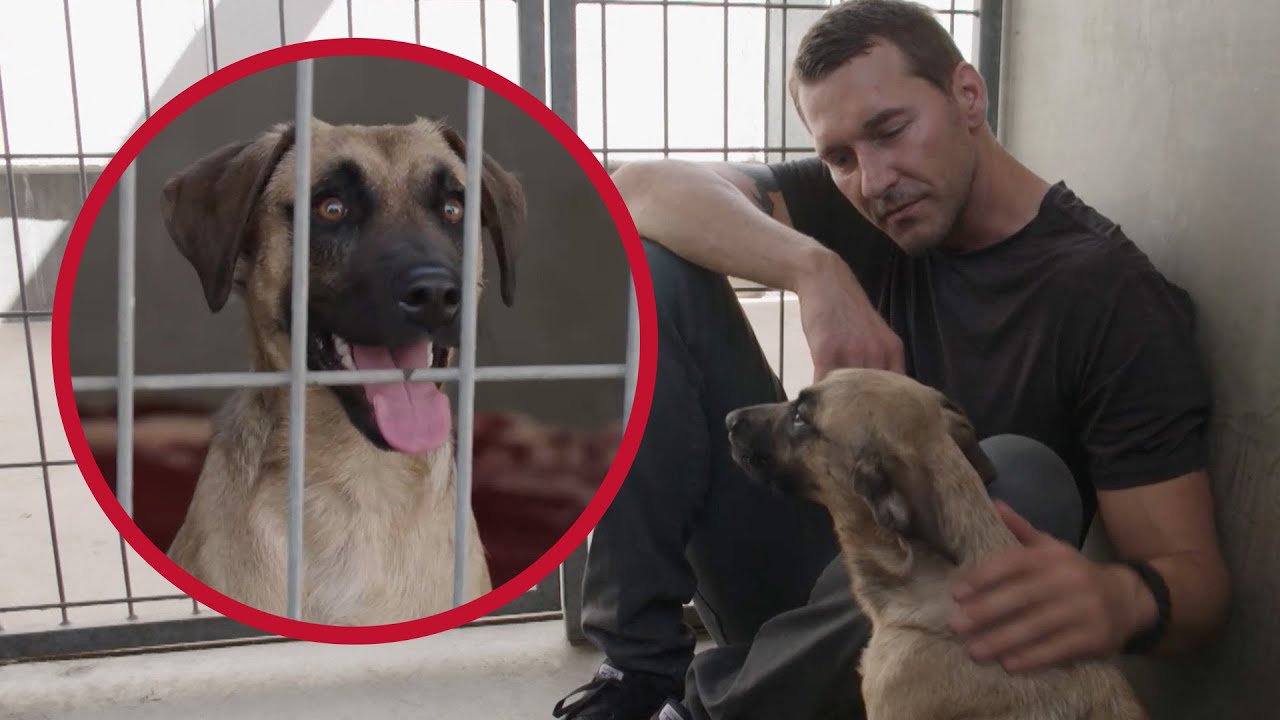Brandon McMillan Meets the MSU Mascot