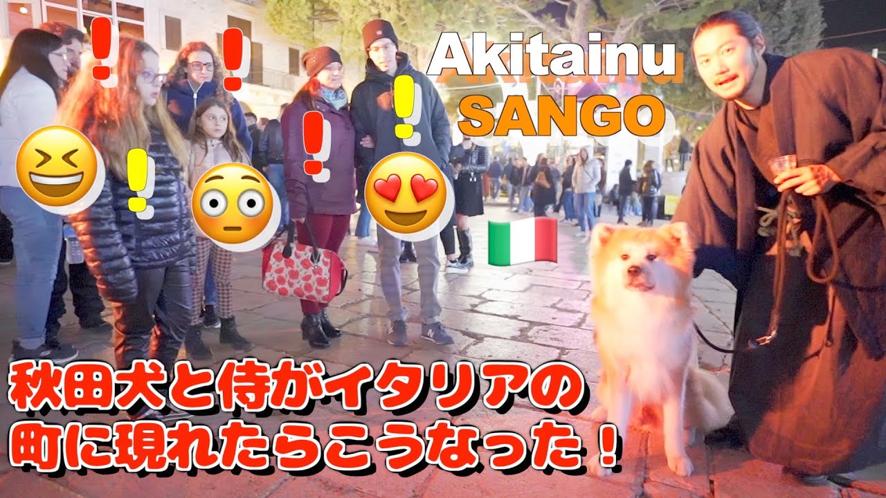 What happens when an Akita dog and a samurai walk through an Italian town♪