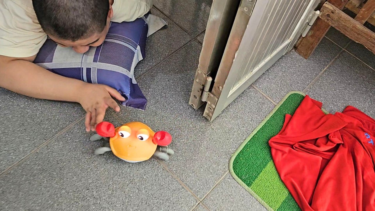 🦀🦑 Anh hai Mão xem con cua và con mực chạy ❤️ Anh Xí Muội 493