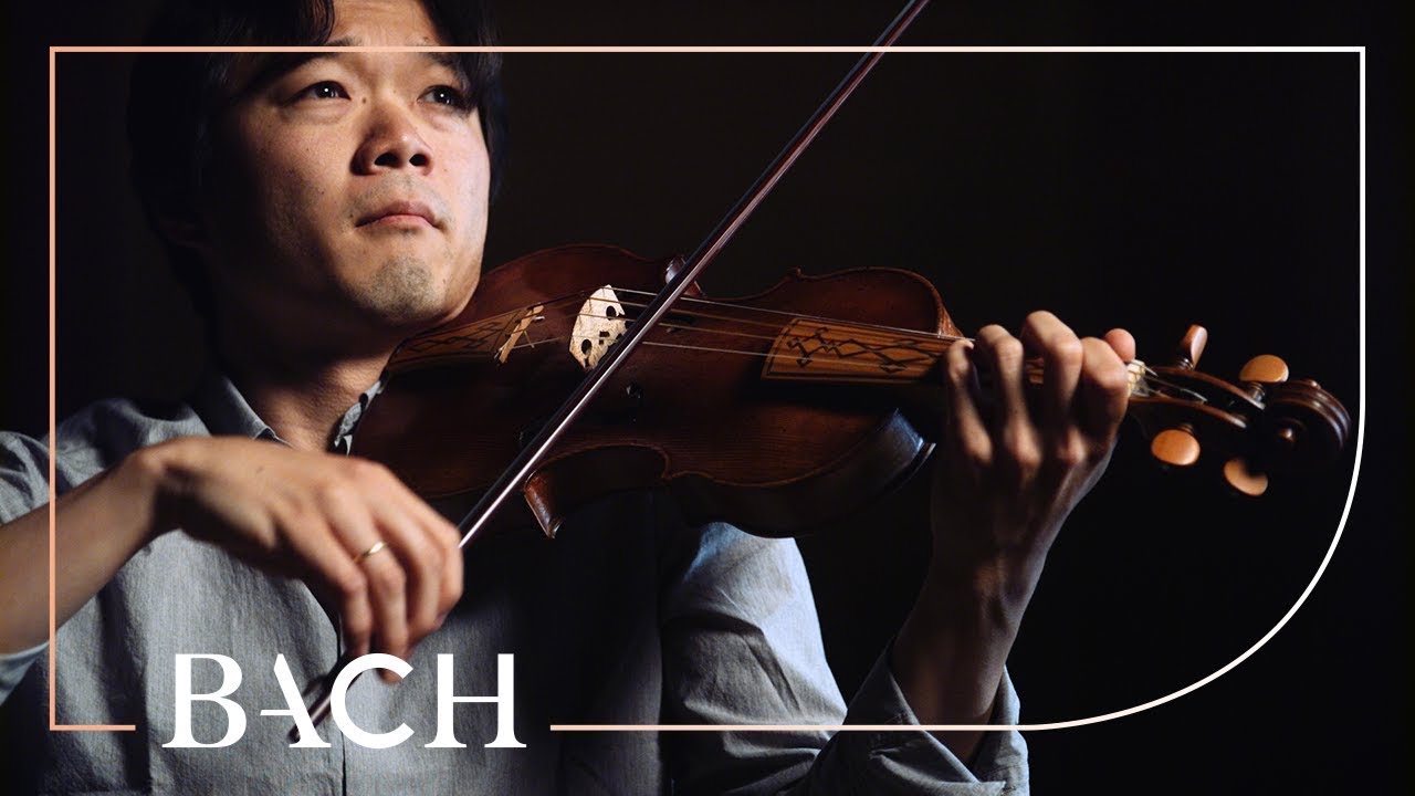 Bach - Violin Sonata no. 1 in G minor BWV 1001 - Sato | Netherlands Bach Society