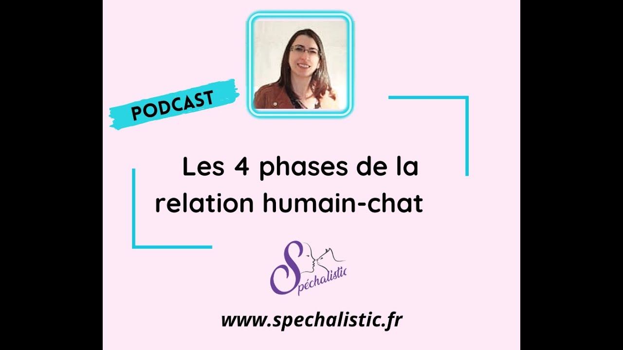 les 4 phases de la relation humain-chat - version podcast