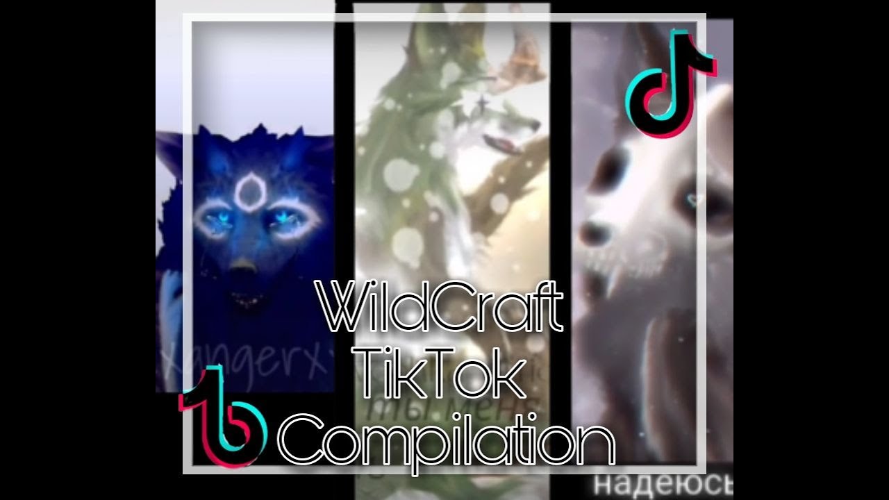 🎶°|WildCraft-TikTok Compilation|° #2🎶