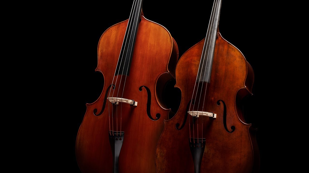 Introducing Busan and 5/8 Basses | Eastman