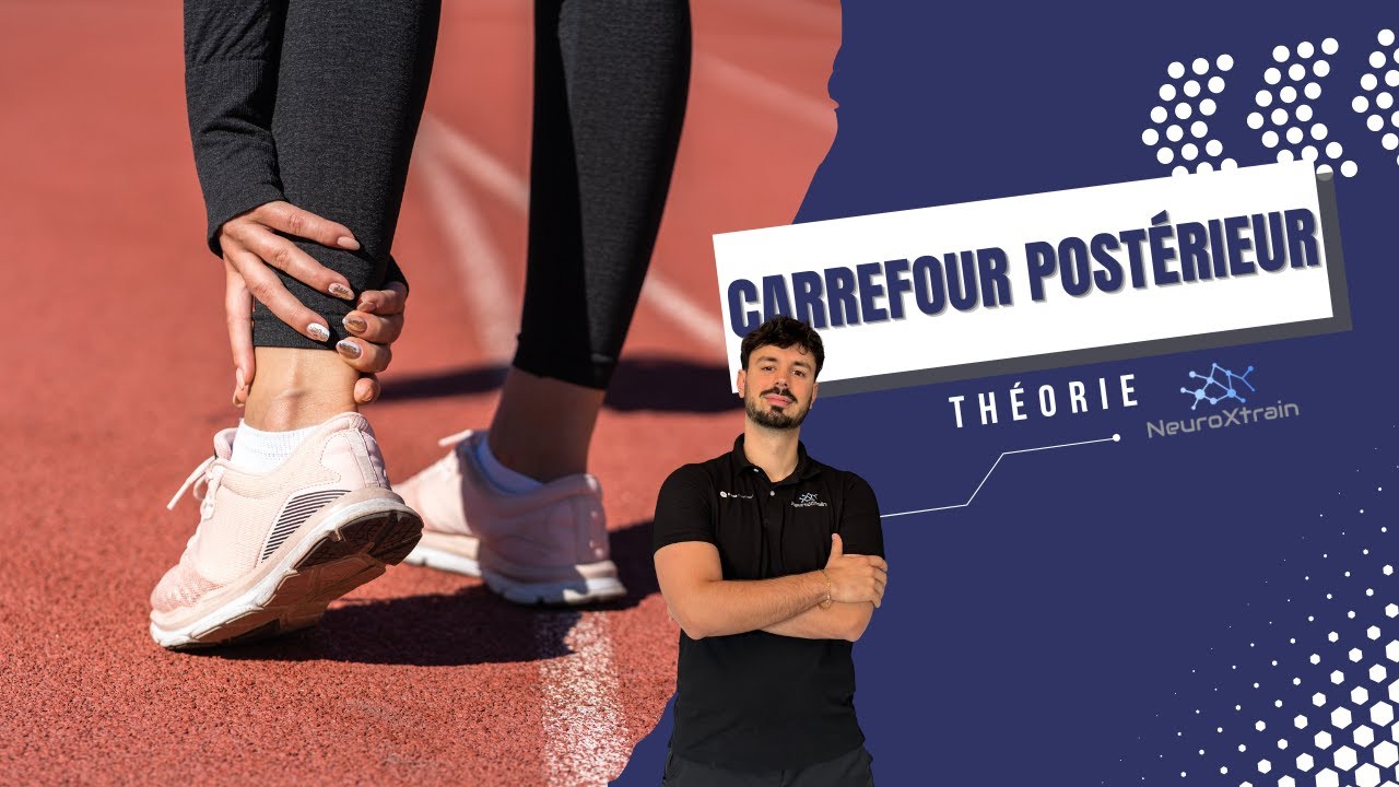 Toutes les meilleures informations sur le CARREFOUR POSTERIEUR - En théorie