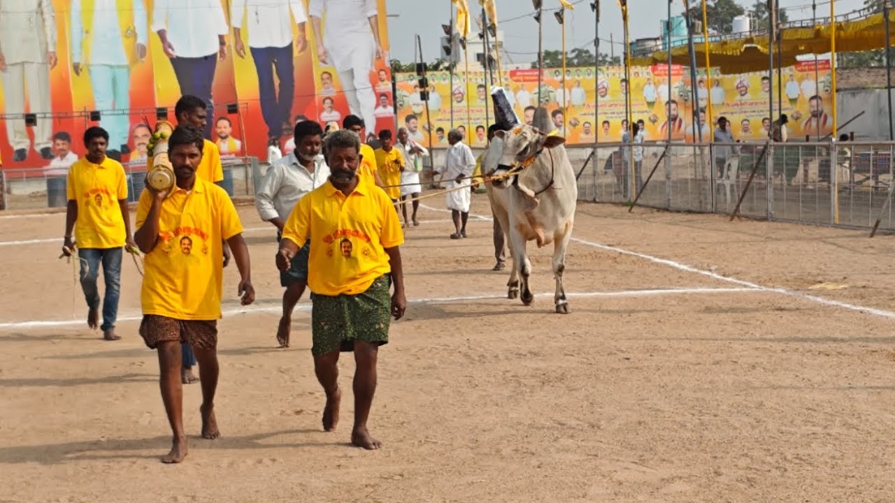 చిలకలూరిపేట 6 పళ్ళ విభాగం 1వ జత