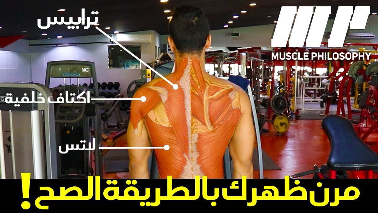 افضل تمارين الظهر الاساسية ! لا تهملها