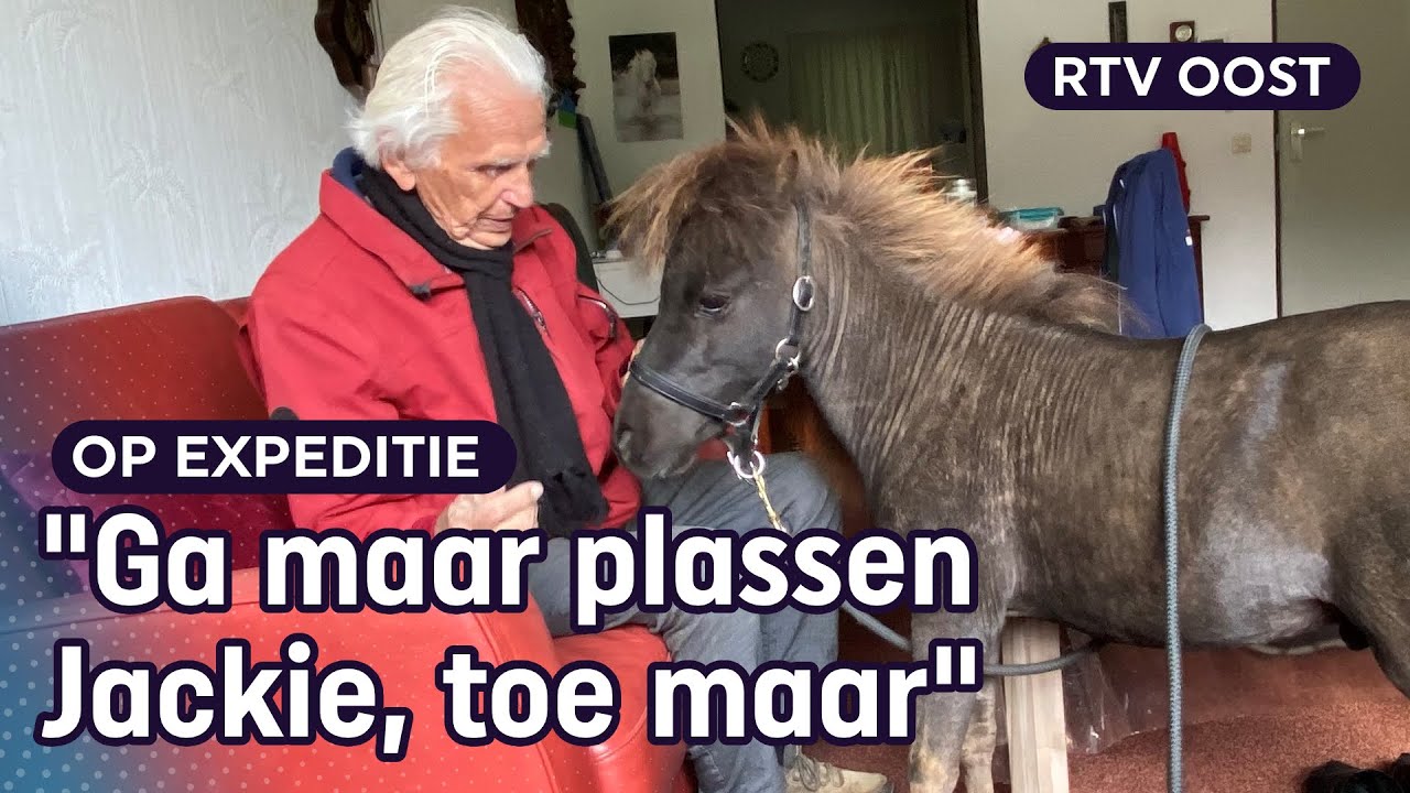 Opa Brouwer (93) laat zijn mini-paardje grazen in z’n woonkamer | RTV Oost
