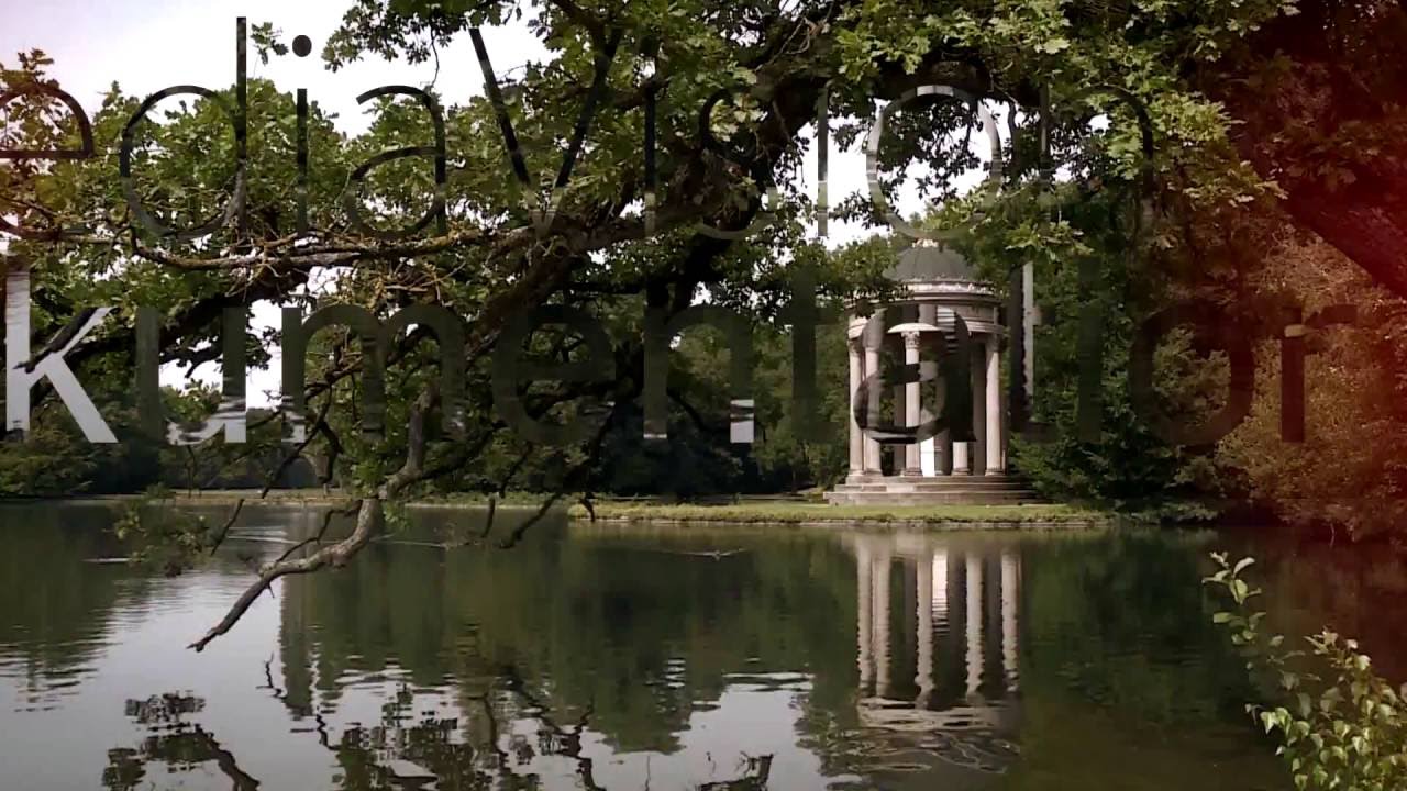 tm-mediaVision - Showreel
