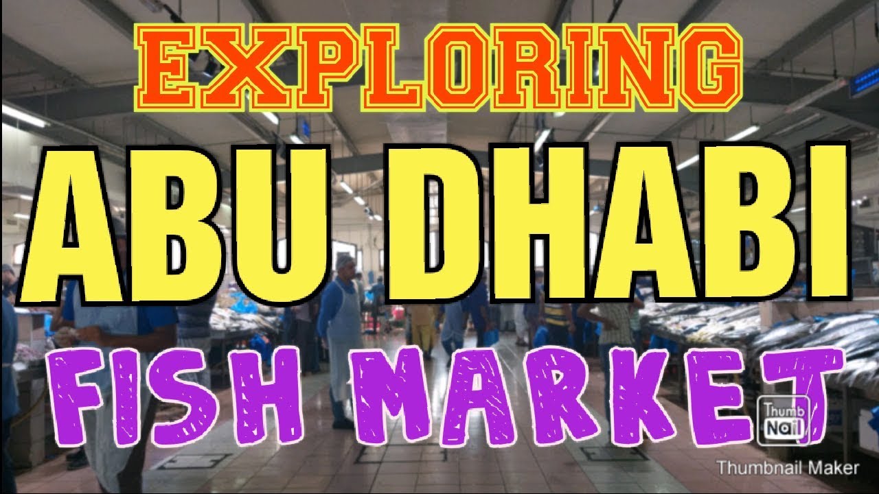 Exploring Abu Dhabi Fish Market.
