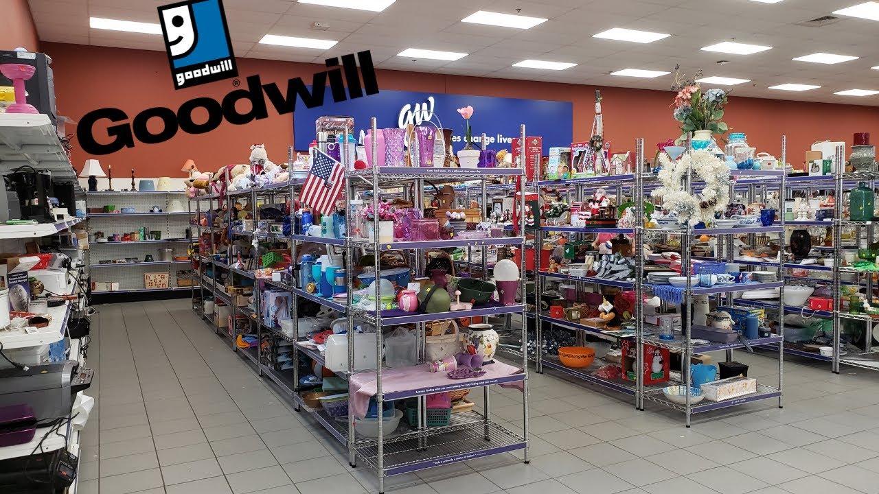 I Spent $100 Thrifting at Goodwill to Sell on Amazon FBA and Ebay!