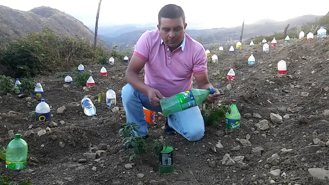 RIEGO SOLAR EN CAJAMARCA-PERÚ