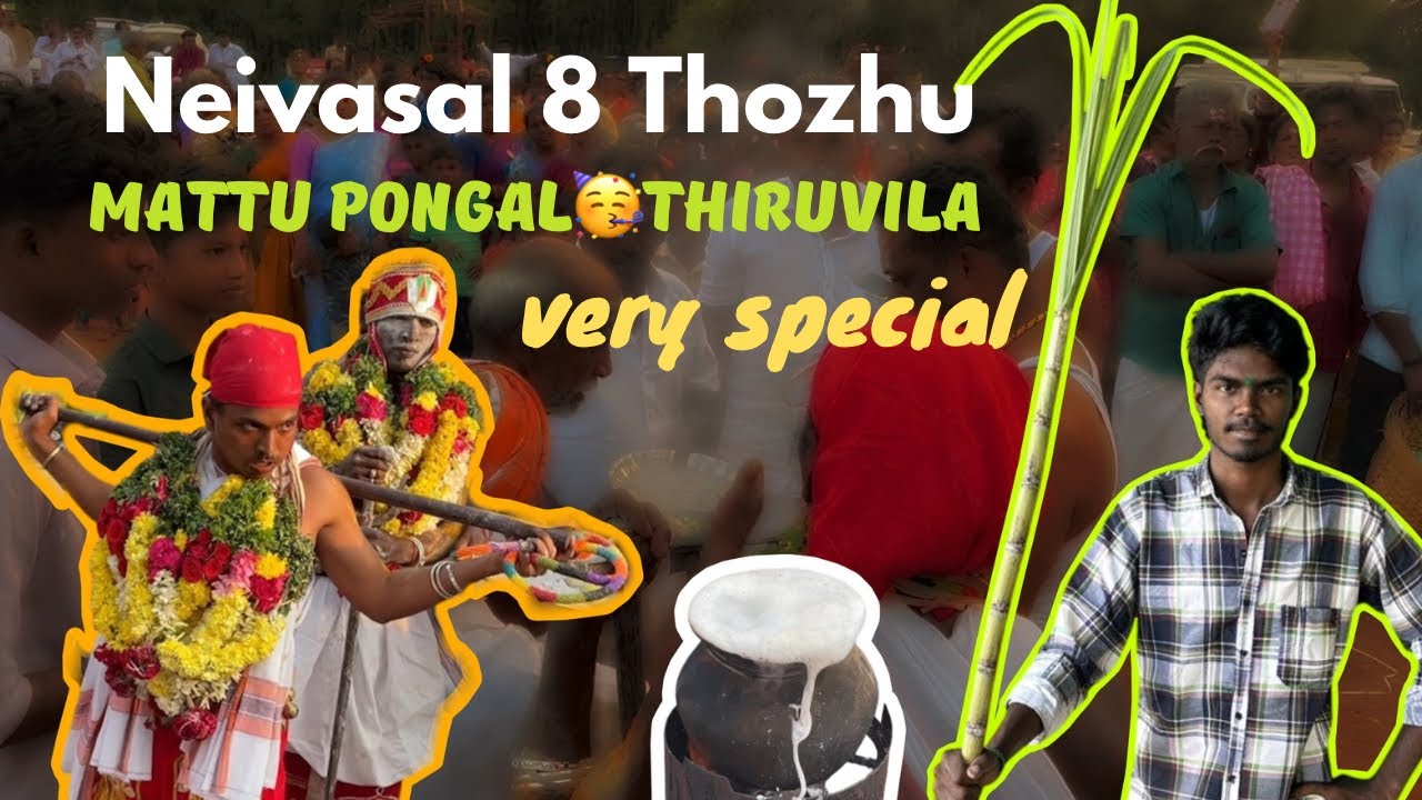 Neivasal 8 Thozhu Mattu Pongal🥳Thiruvila/நெய்வாசல் 8 தொழு மாட்டுப்பொங்கல் திருவிழா✨