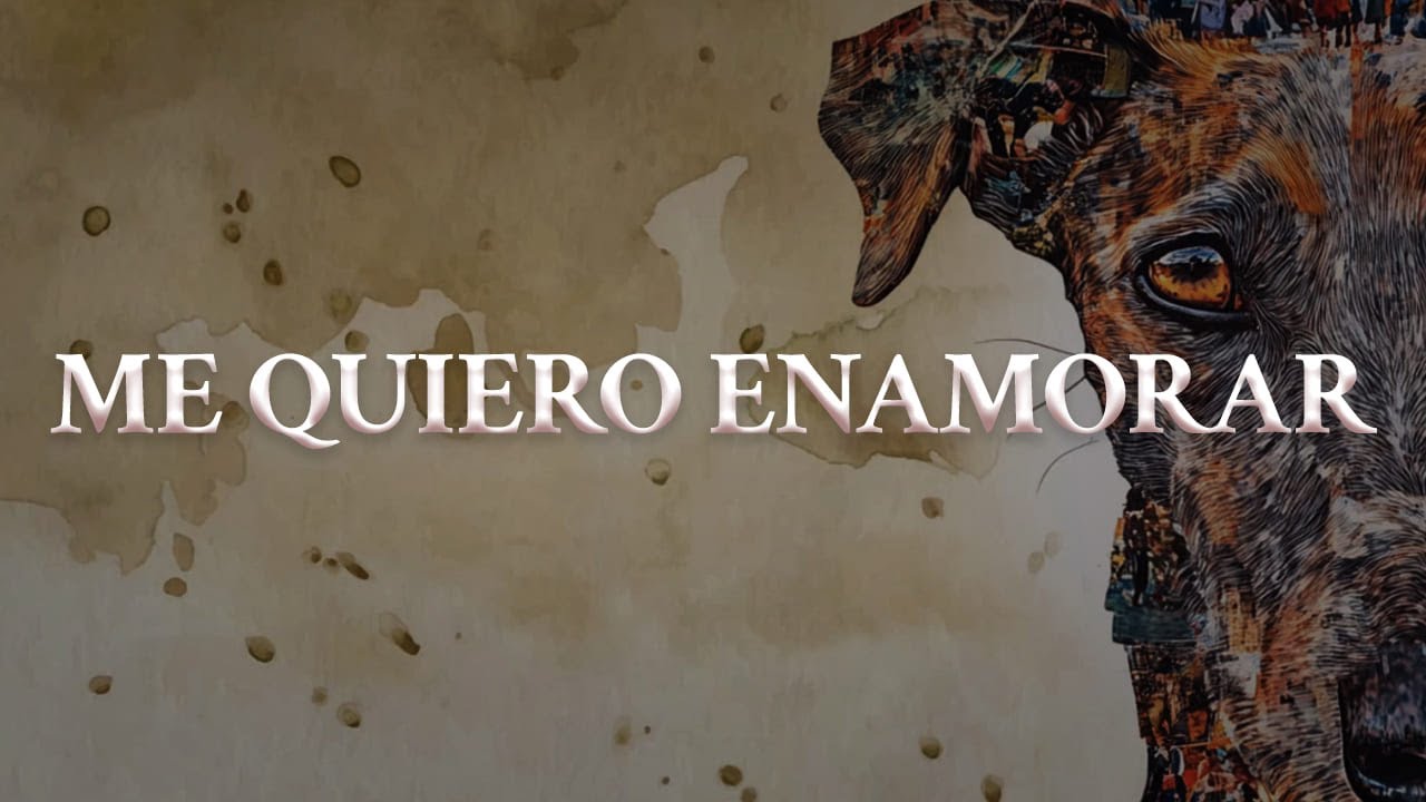 Jesse & Joy - ME QUIERO ENAMORAR (Letra oficial / Official lyrics)