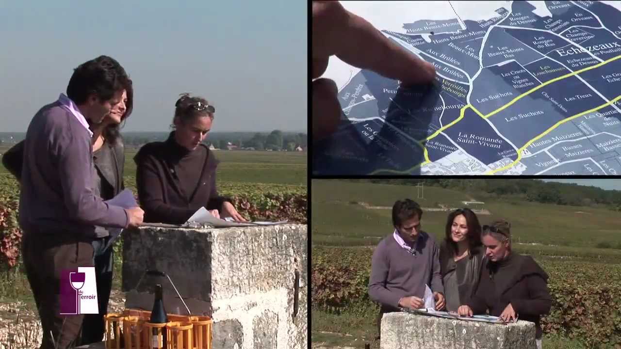 Bourgogne; Découvrir Vosne Romanée avec Anne Gros