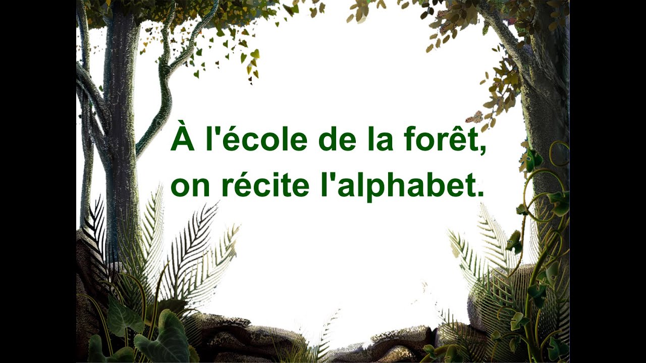 A l'école de la forêt