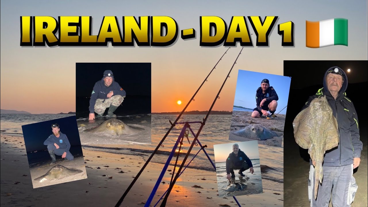 💥NEW SPECIES💥 ESAA SEA FISHING IRELAND - DAY 1. STINGRAYS ON! WHAT A PLACE. UK Shore Angling 2023.