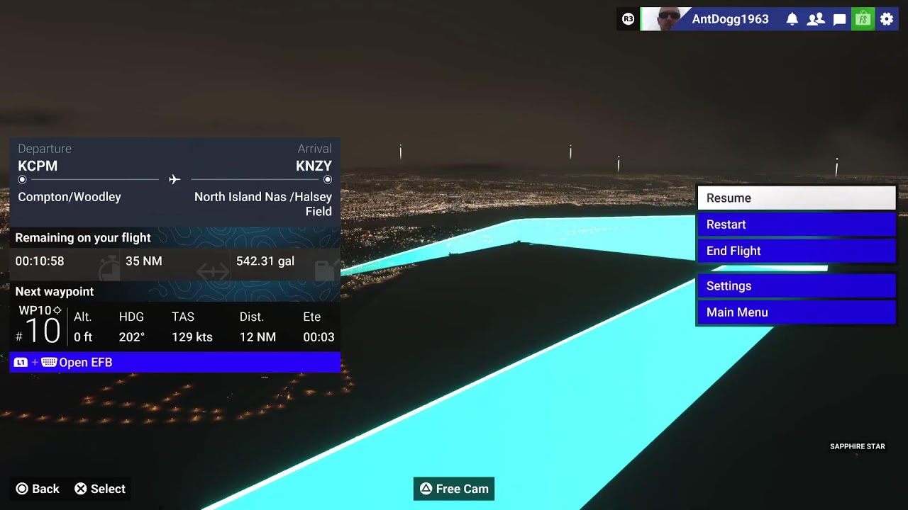 Flight Simulator 24 Free Flight