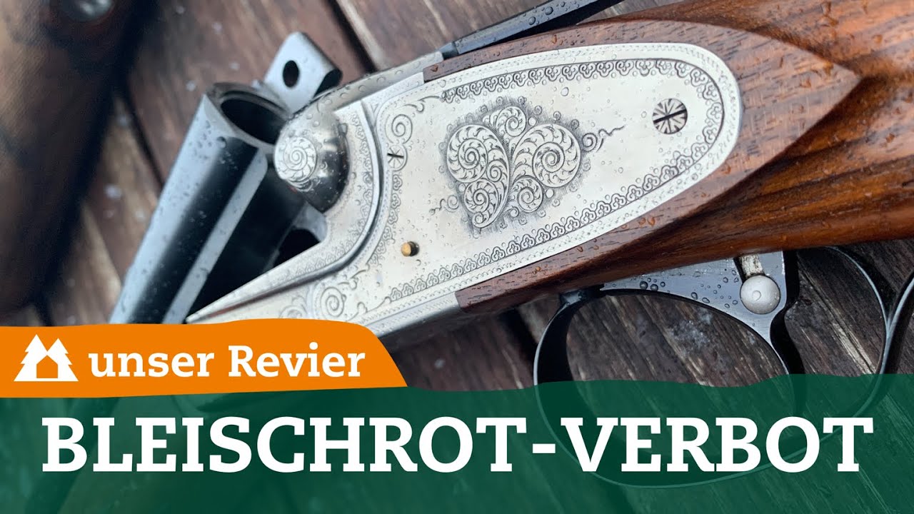 Verbot von Bleischrot: Das müsst ihr wissen | Jetzt Flinte überprüfen | unser Revier | #52