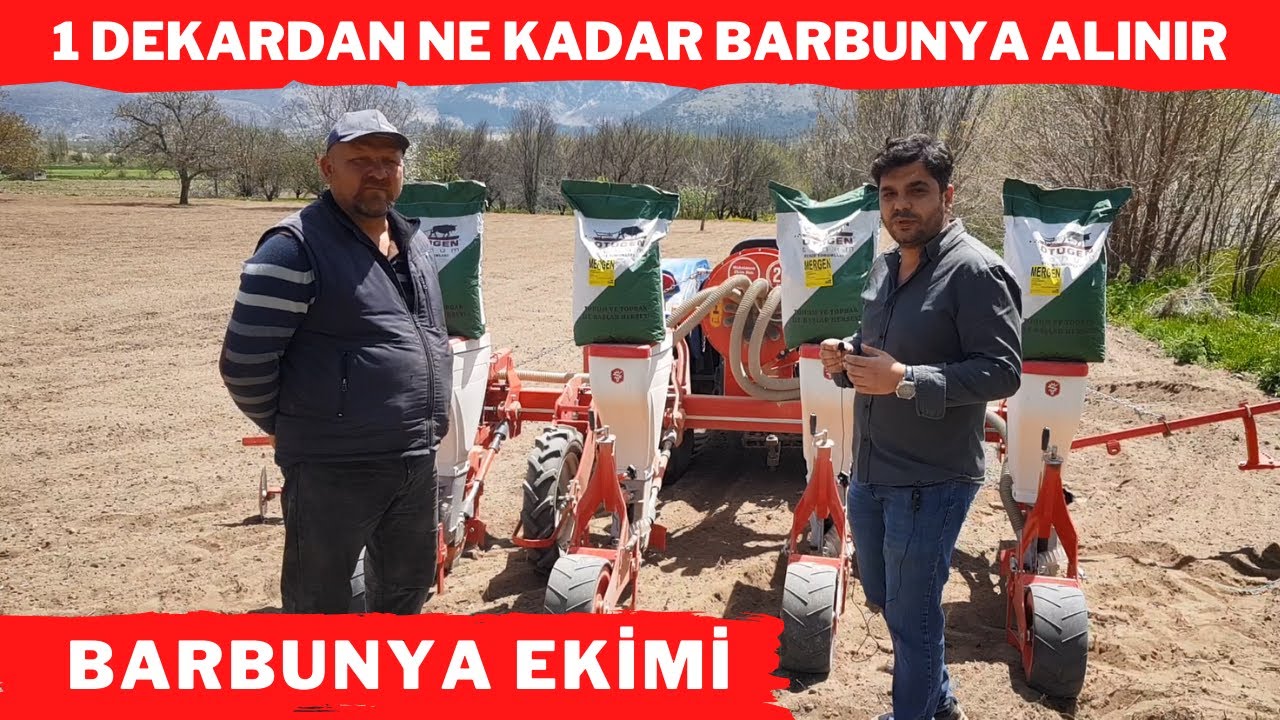 BARBUNYA EKİMİ (1 Dekardan Ne Kadar Barbunya Alınır ? & Barbunya Nasıl Yetiştirilir ? )