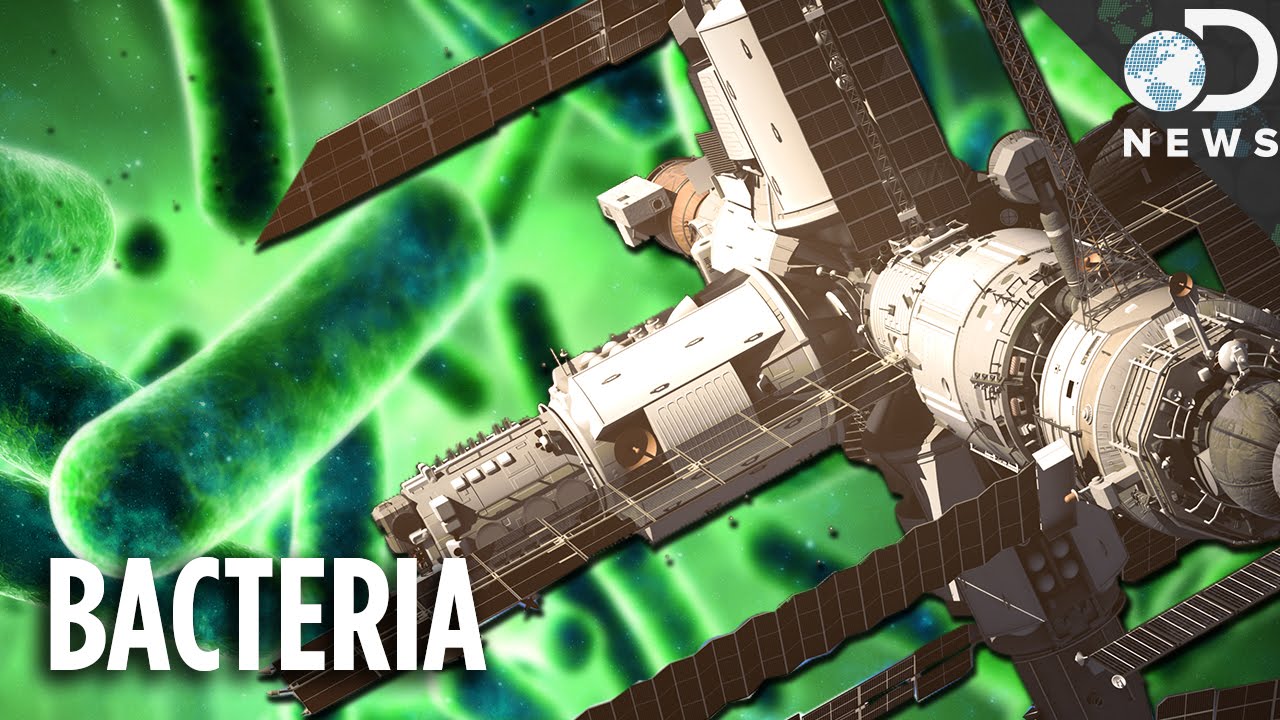 You Don’t Even Want To Know About Bacteria On The Space Station